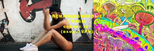 МДПВ Вязники
