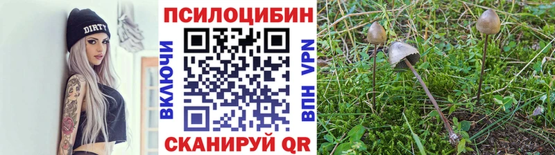 Псилоцибиновые грибы Magic Shrooms Красноярск